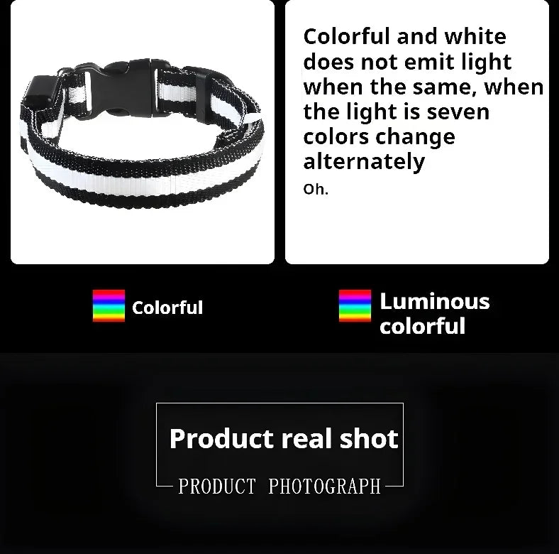 LED Nylon Dog Collar & Leash