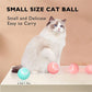 Dog Electronic pet ball