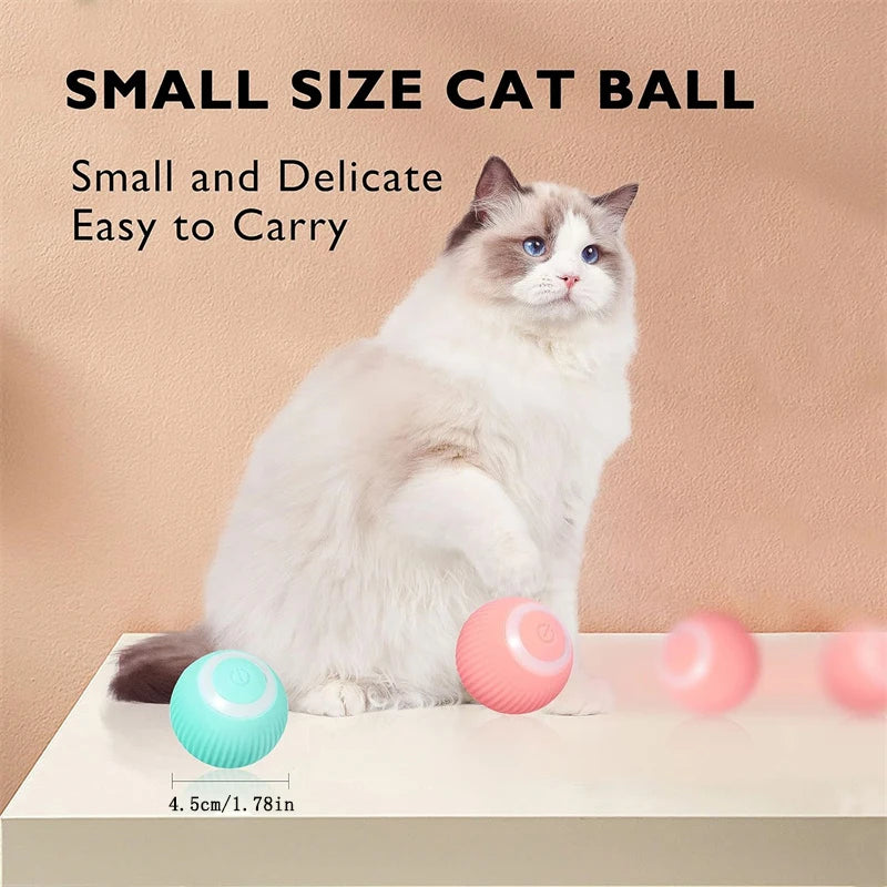 Dog Electronic pet ball
