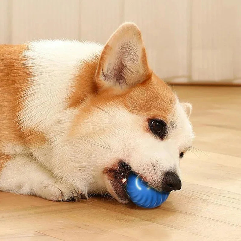 Dog Electronic pet ball