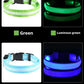 LED Nylon Dog Collar & Leash