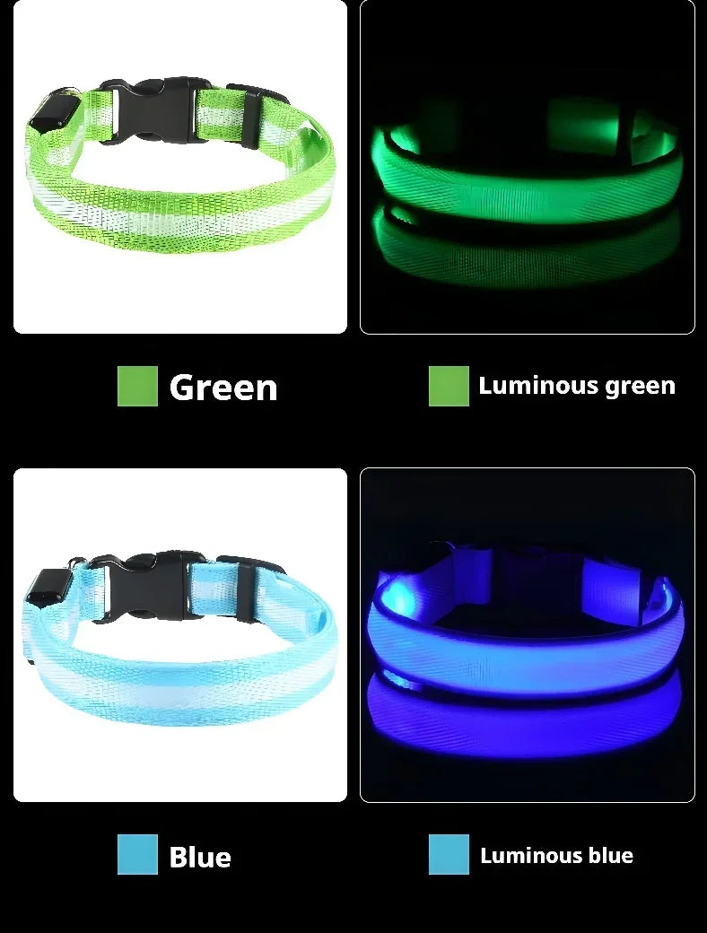 LED Nylon Dog Collar & Leash