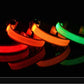 LED Nylon Dog Collar & Leash