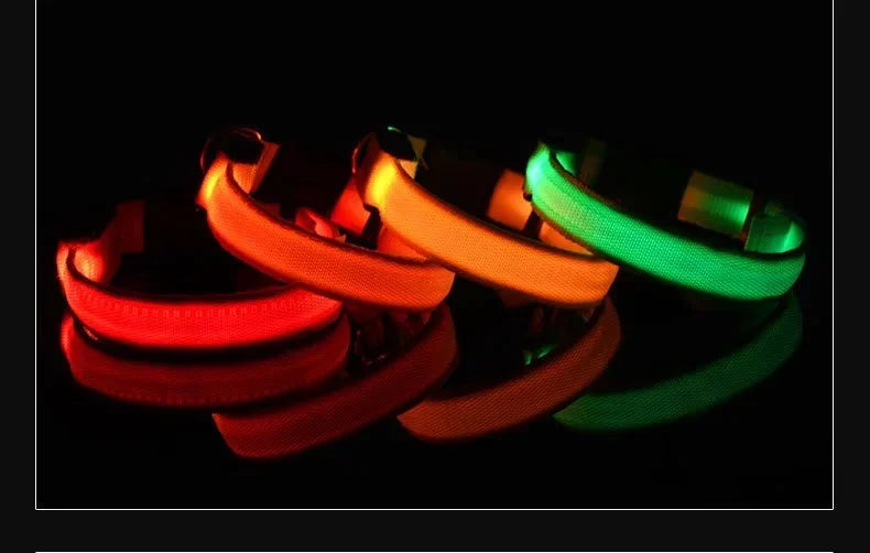 LED Nylon Dog Collar & Leash