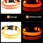 LED Nylon Dog Collar & Leash