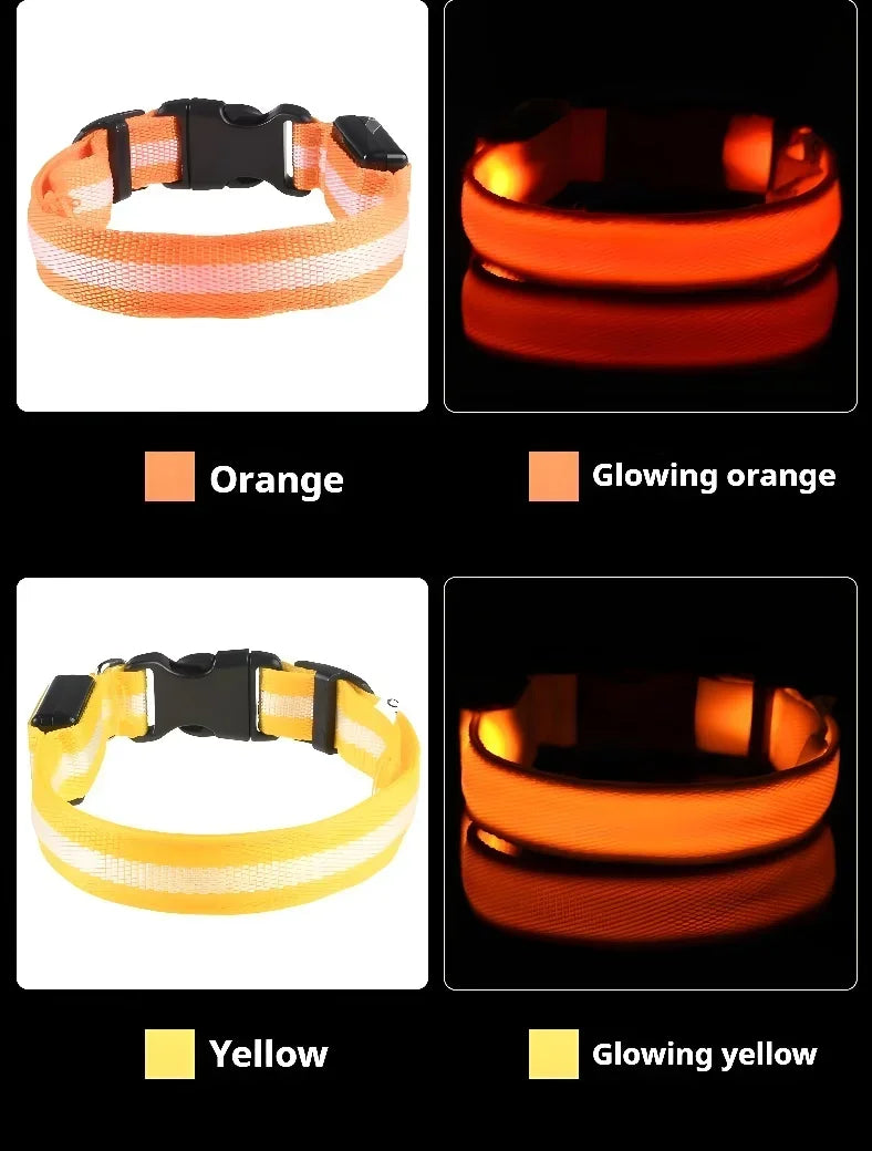 LED Nylon Dog Collar & Leash
