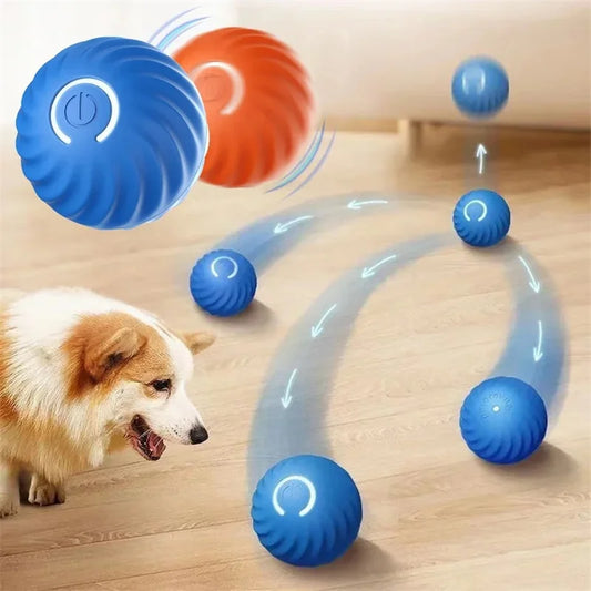 Dog Electronic pet ball
