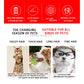 Electric Pet Clipper Grooming
