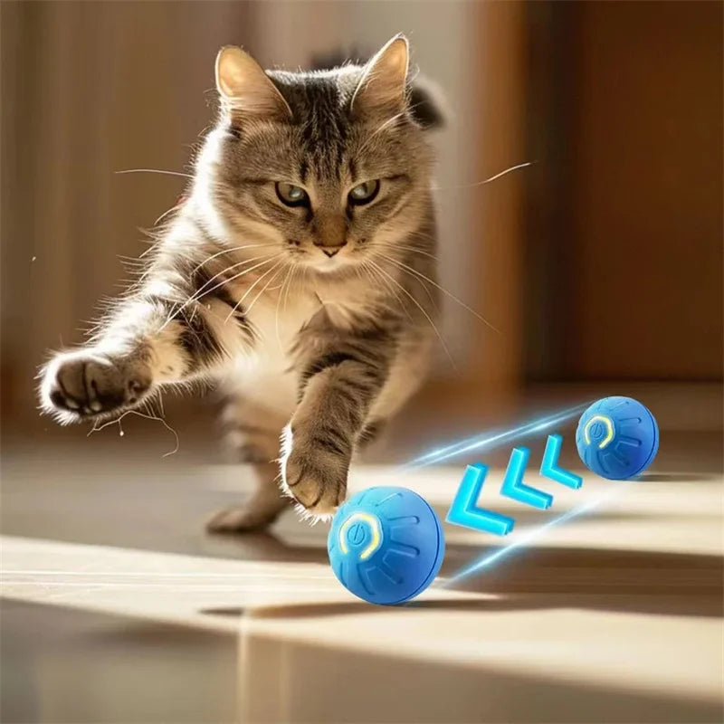 Dog Electronic pet ball