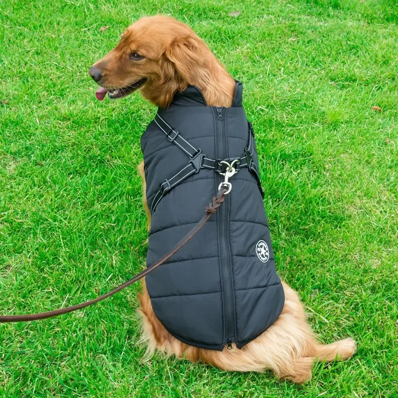 Large Dog Winter Jacket with Harness