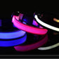 LED Nylon Dog Collar & Leash