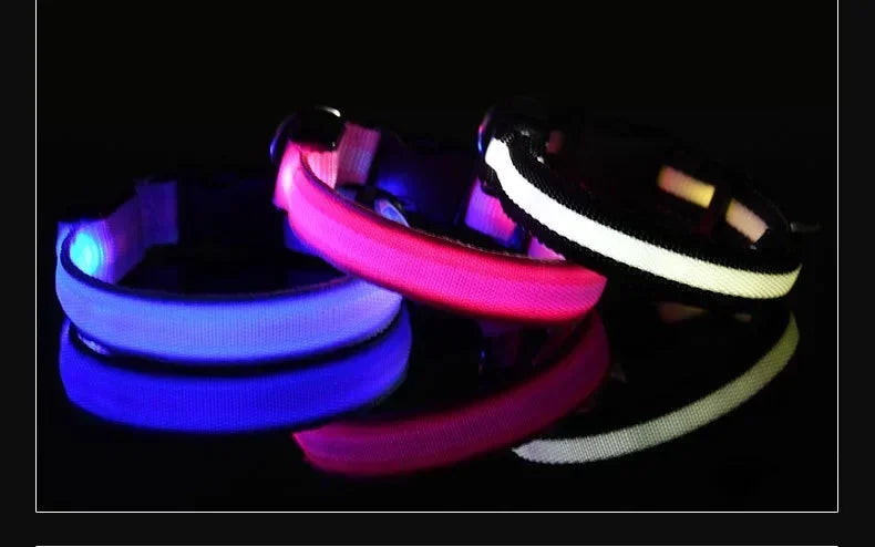 LED Nylon Dog Collar & Leash