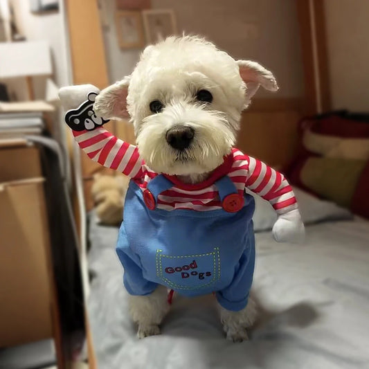Halloween Dog & Cat Costume