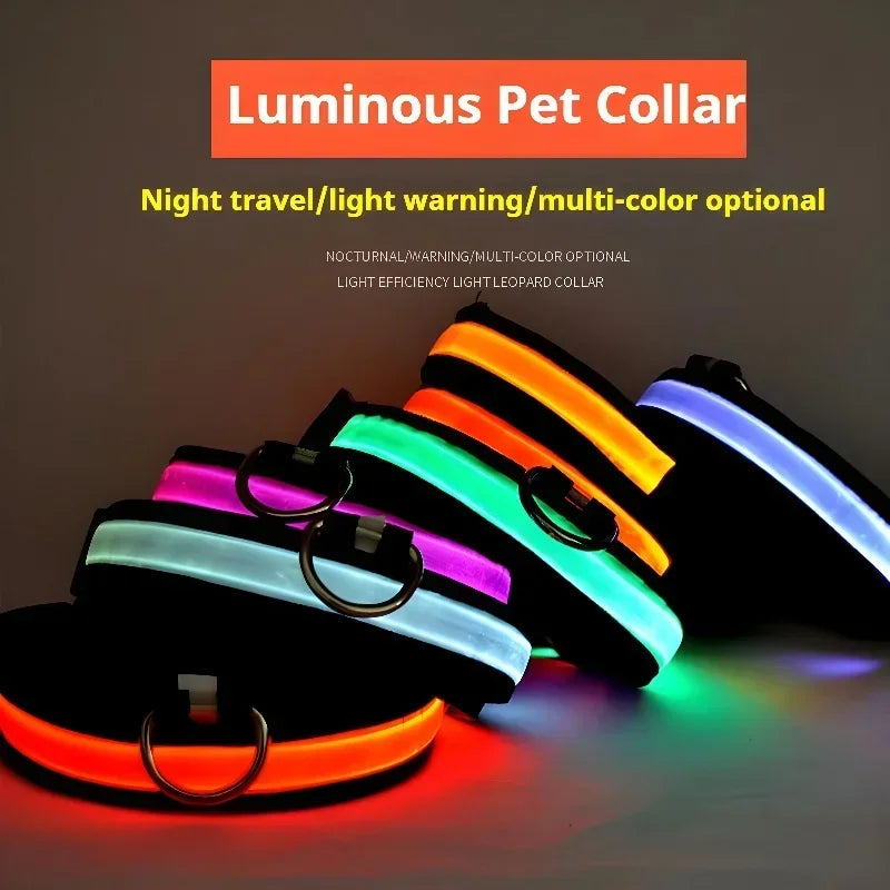 LED Nylon Dog Collar & Leash