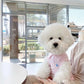 Summer Polo Shirt for Dogs