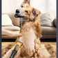 Professional Electric Pet Hair Trimmer