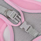 Puppy Harness Set