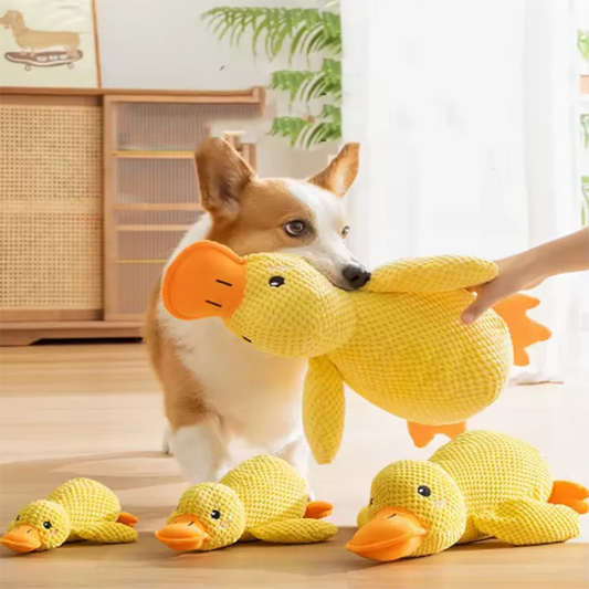 Plush Duck Dog Hug Toy
