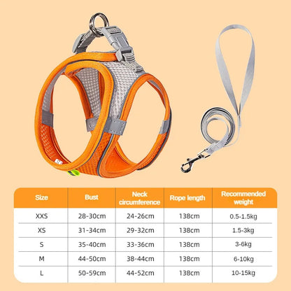 Puppy Harness Set