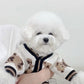 Luxury Striped Dog & Cat Sweater