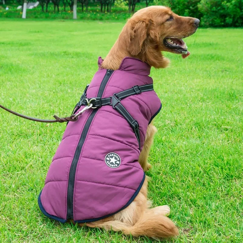 Large Dog Winter Jacket with Harness