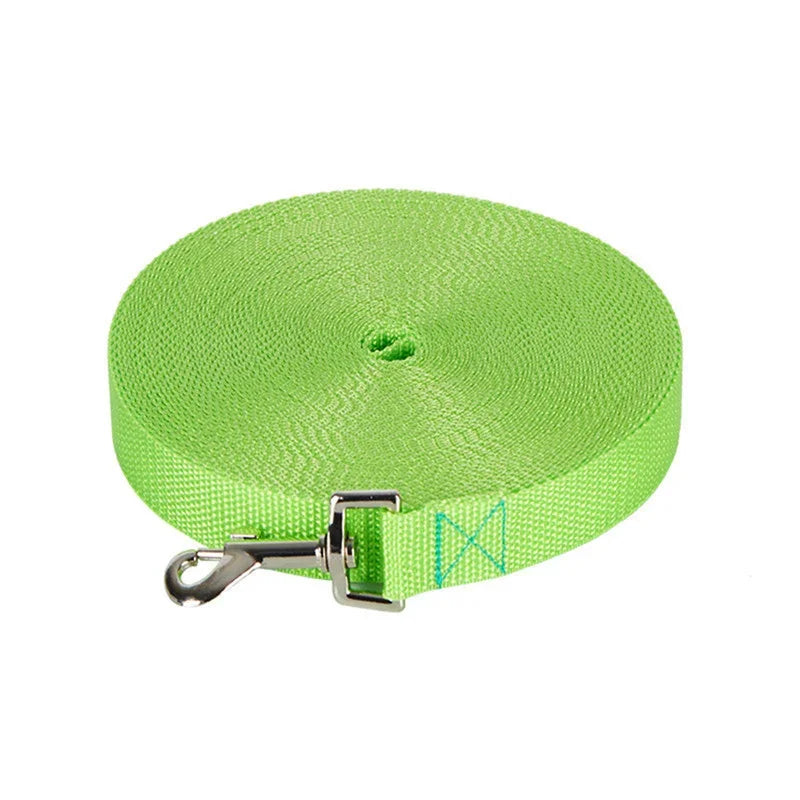 Nylon Dog Training & Walking Leash
