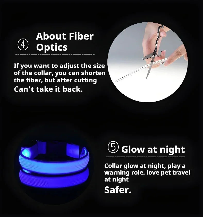 LED Nylon Dog Collar & Leash