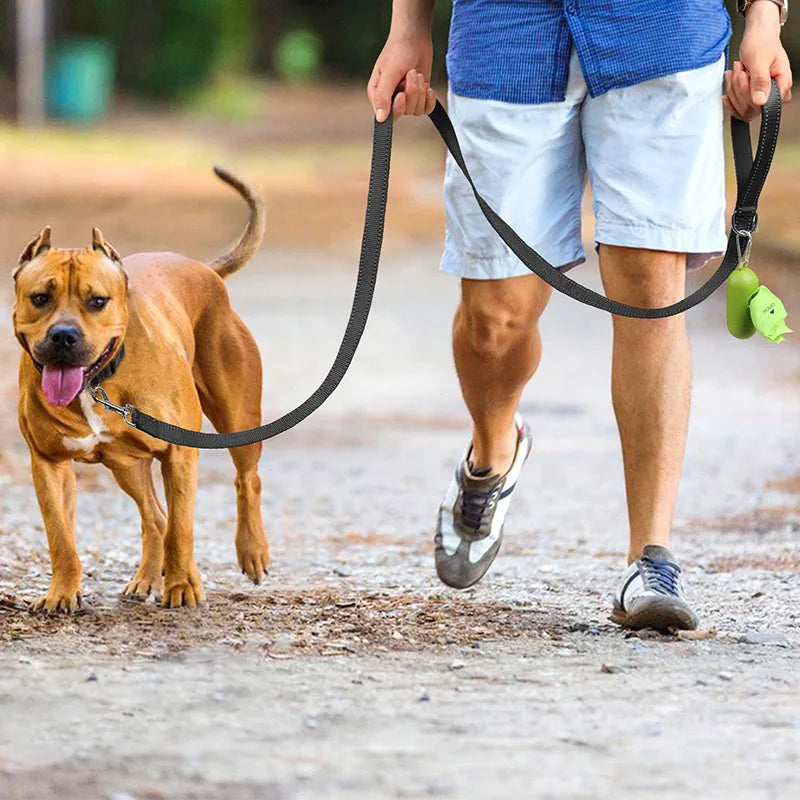 Reflective Pet Harness & Leash