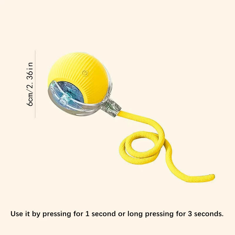 Dog Electronic pet ball