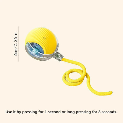 Dog Electronic pet ball