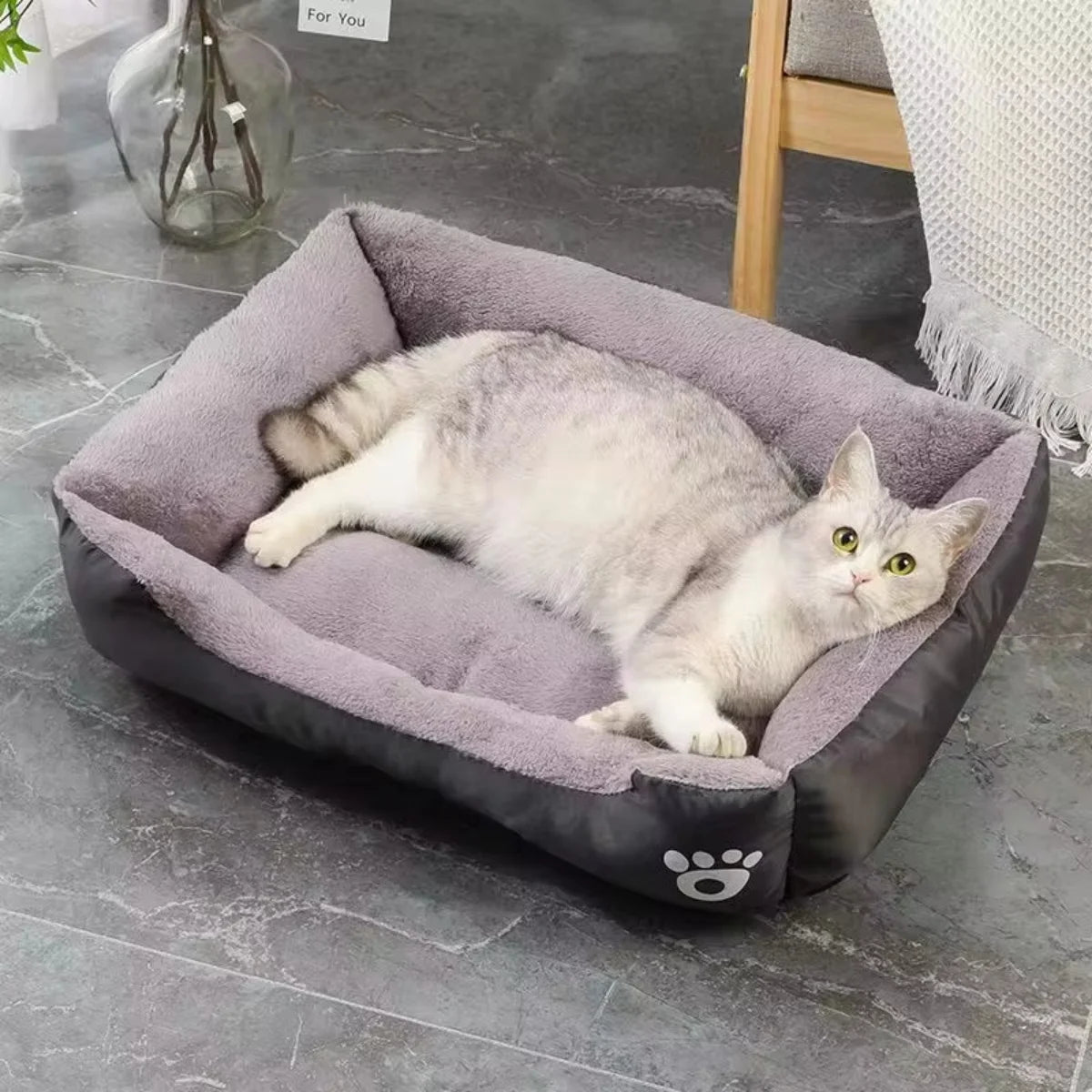 Colorful Waterproof Dog & Cat Bed