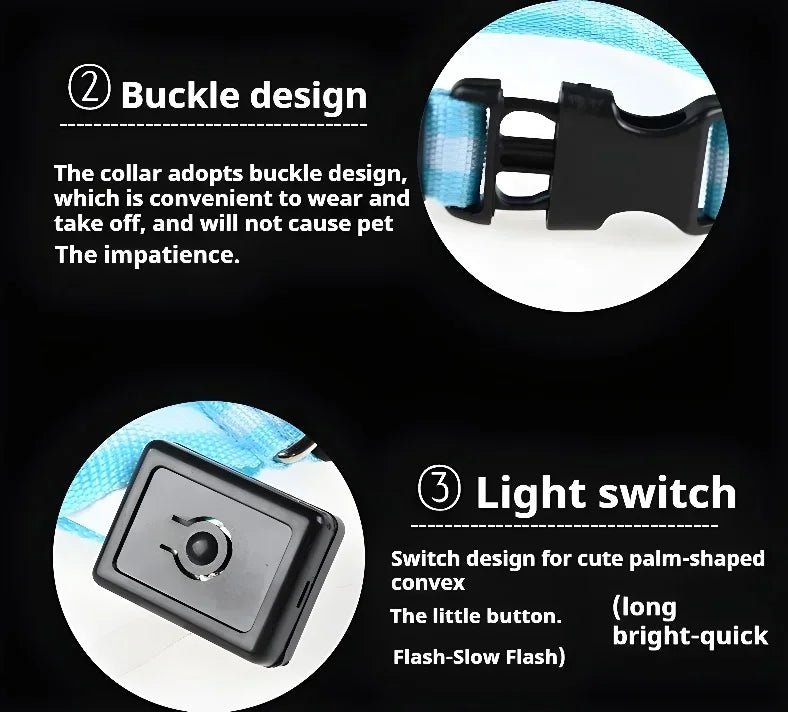 LED Nylon Dog Collar & Leash