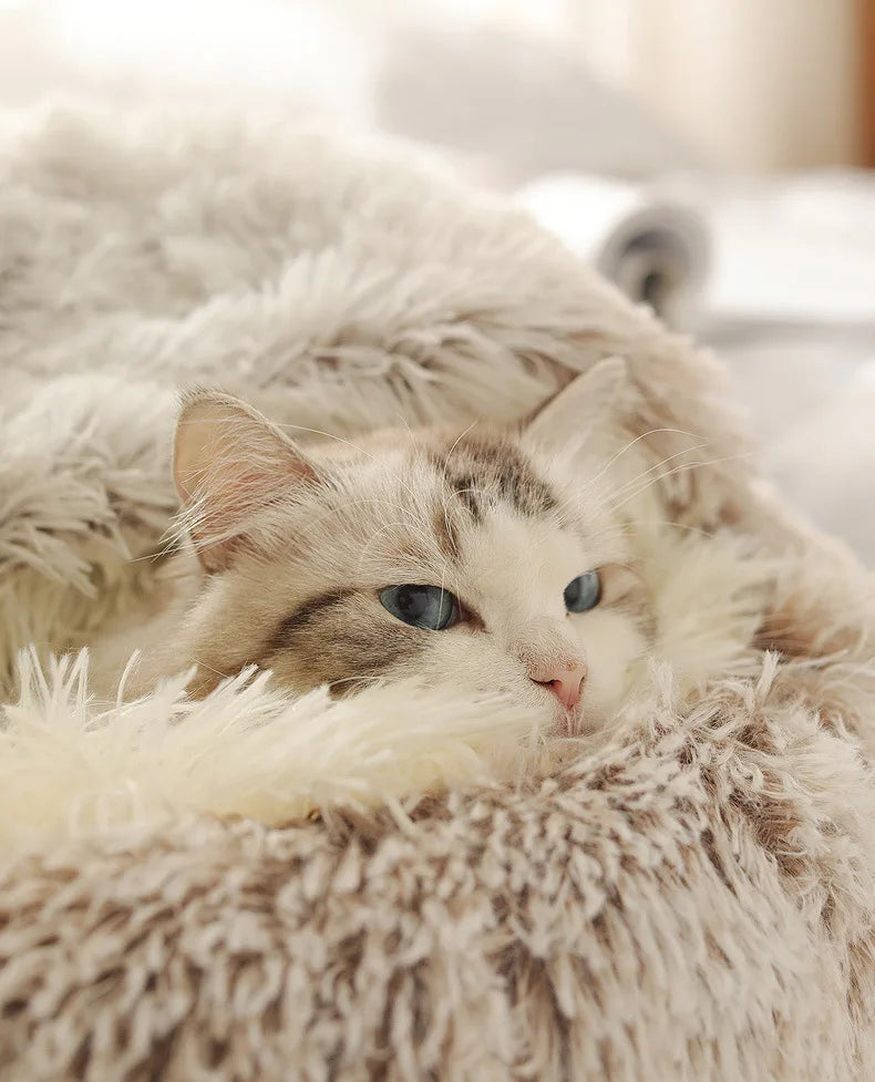 Plush Autumn & Winter Pet Bed