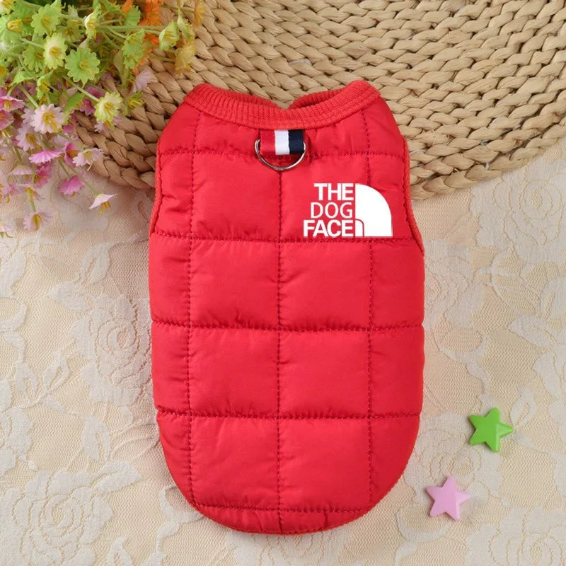 Designer Trendy Dog Clothes Winter Warm