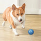 Dog Electronic pet ball