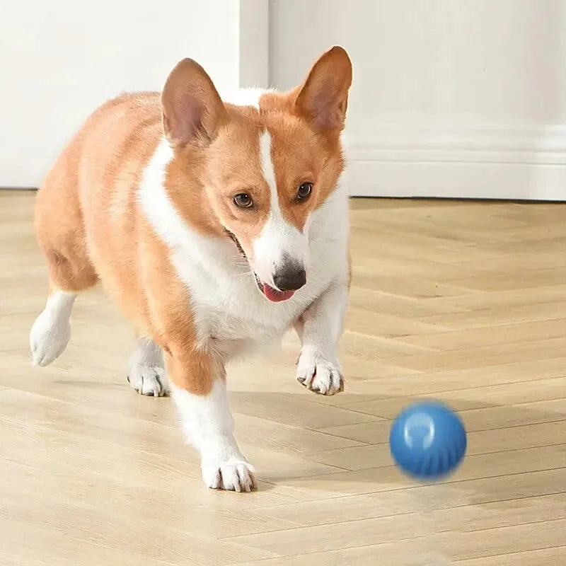 Dog Electronic pet ball