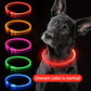 LED Rechargeable Dog Collar