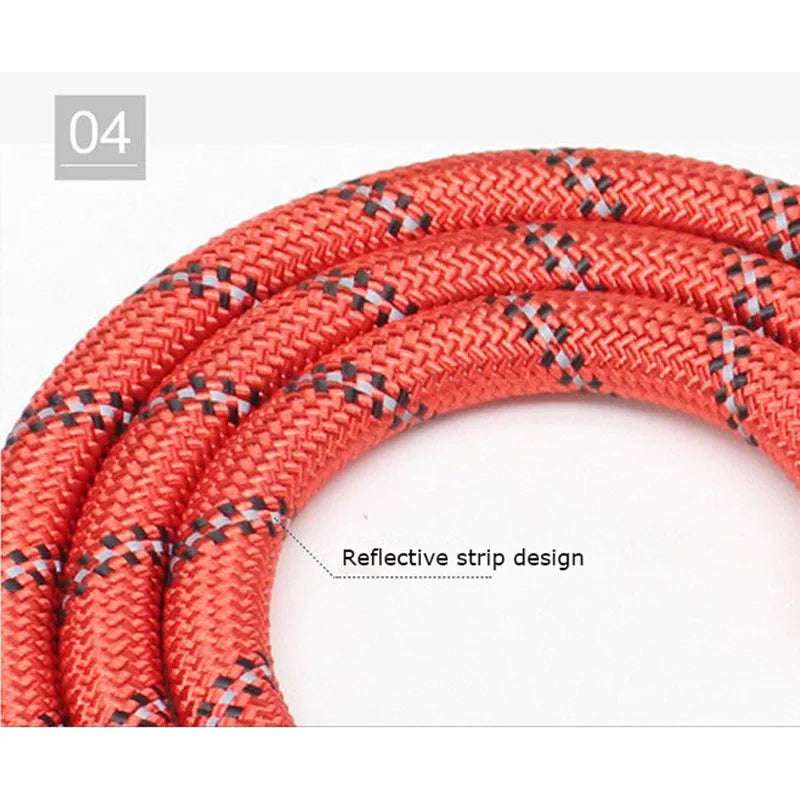 Reflective Padded Dog Leash