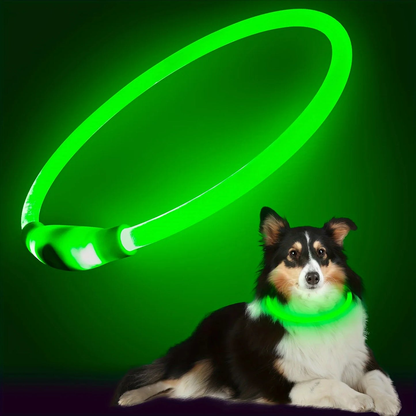 LED Rechargeable Dog Collar