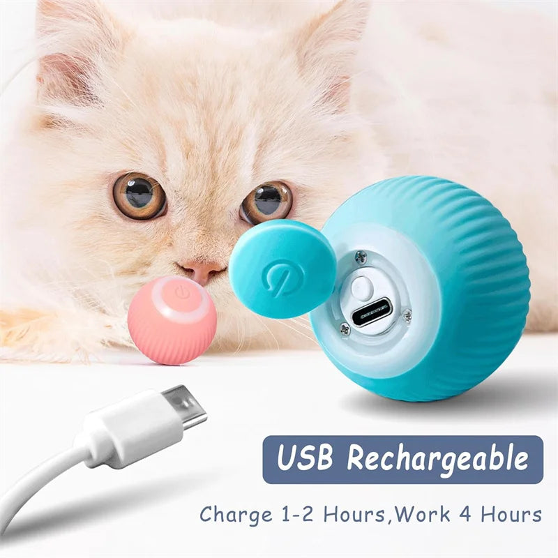 Dog Electronic pet ball