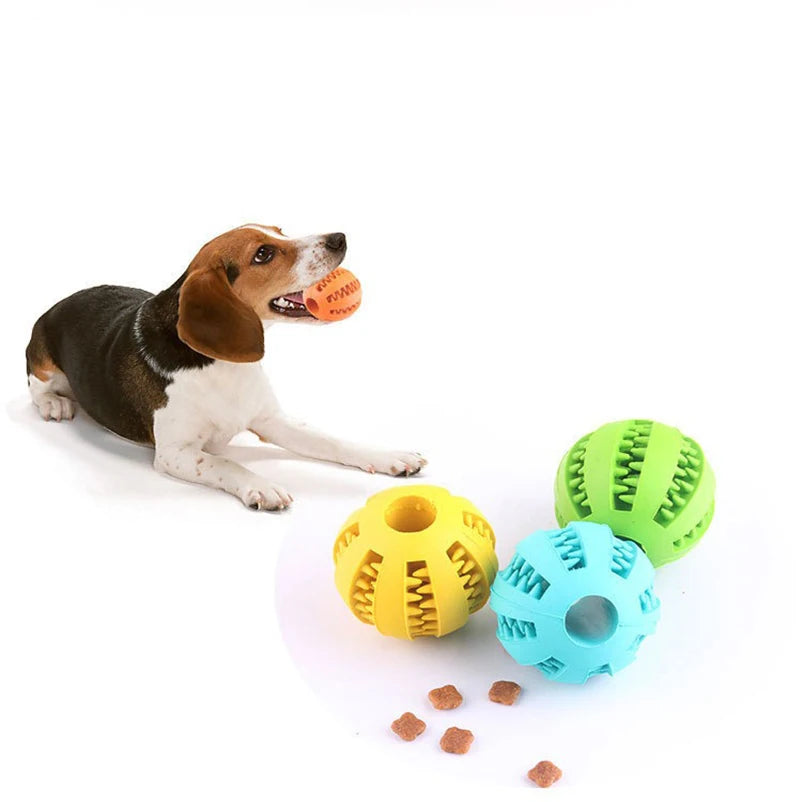 ball toys for dogs