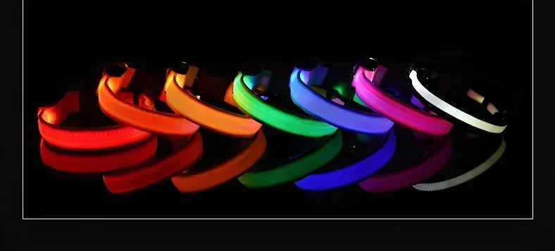 LED Nylon Dog Collar & Leash