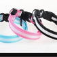 LED Nylon Dog Collar & Leash