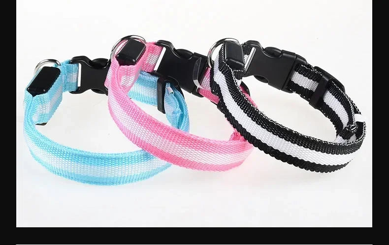 LED Nylon Dog Collar & Leash