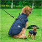 Large Dog Winter Jacket with Harness