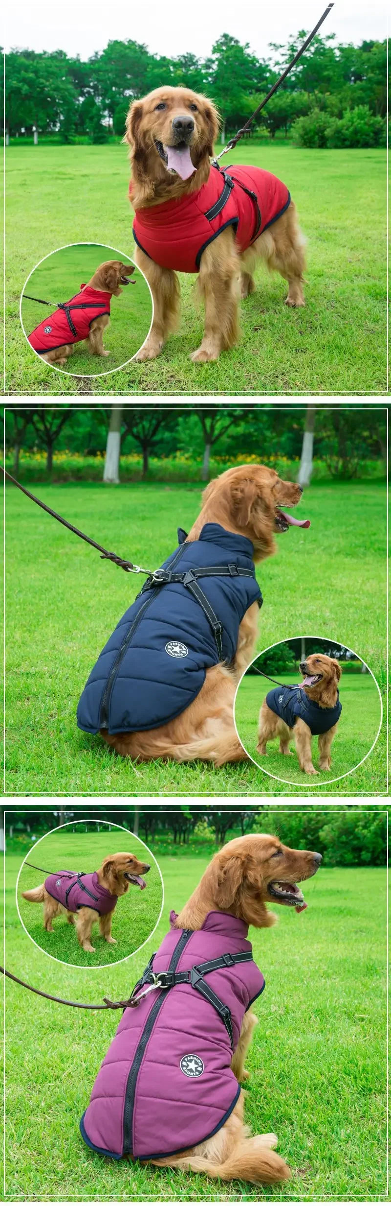 Large Dog Winter Jacket with Harness