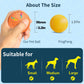 Smart Dog Toy Ball Electronic Interactive Pet Toy