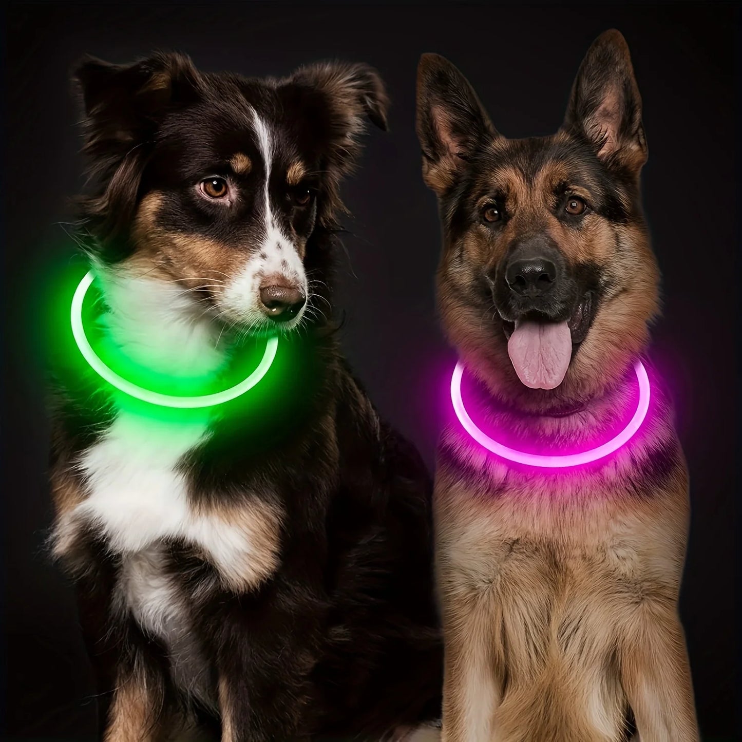 LED Rechargeable Dog Collar