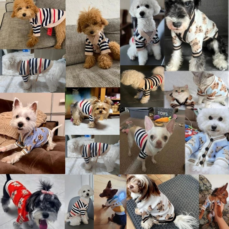 Luxury Striped Dog & Cat Sweater