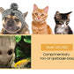 20-Piece Cat Toy Variety Set